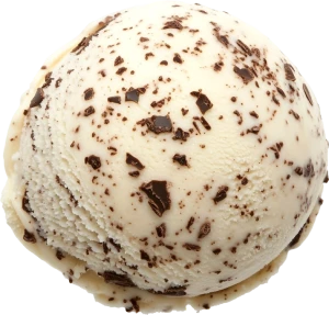 Ice Cream French Vanilla