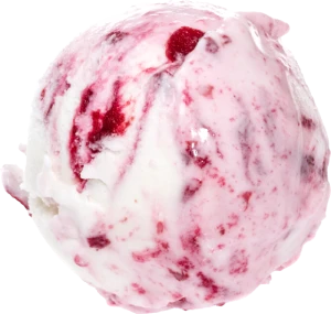 Fruitti di Bosco Ice Cream